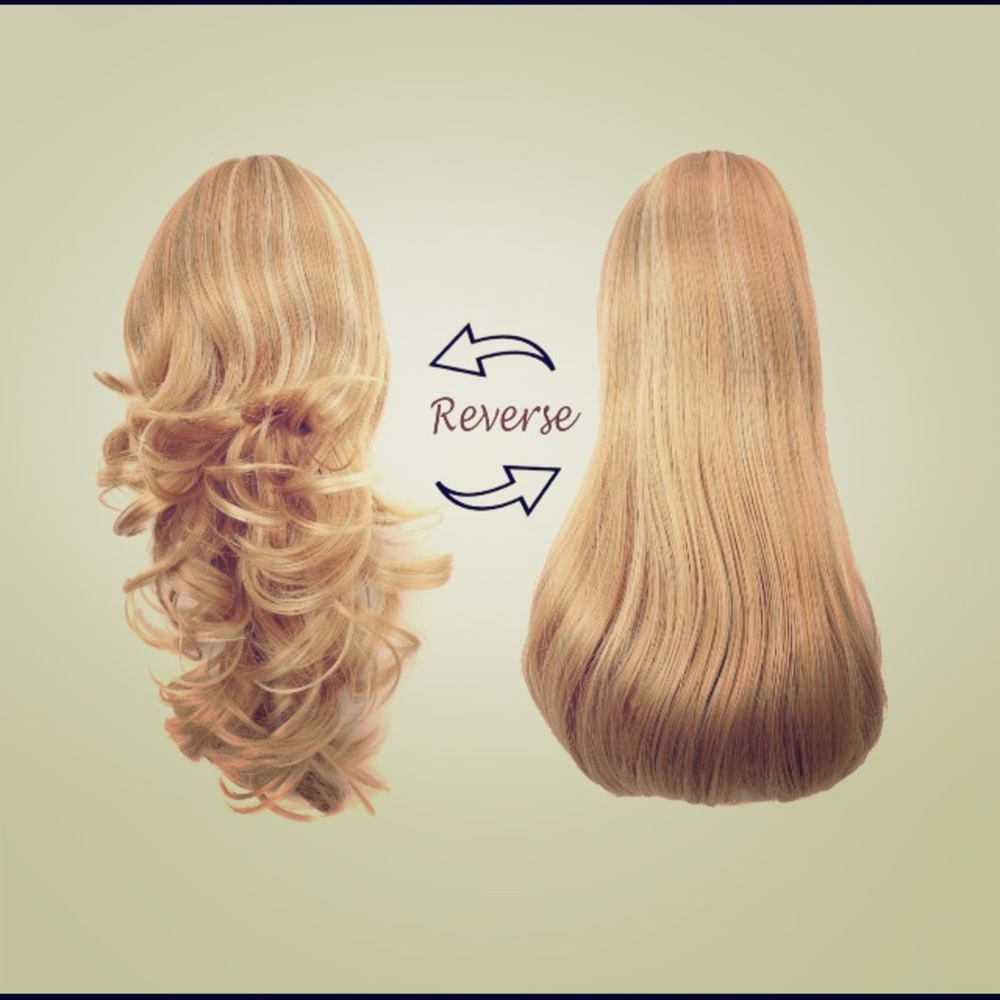 Reversible Ponytail Clip